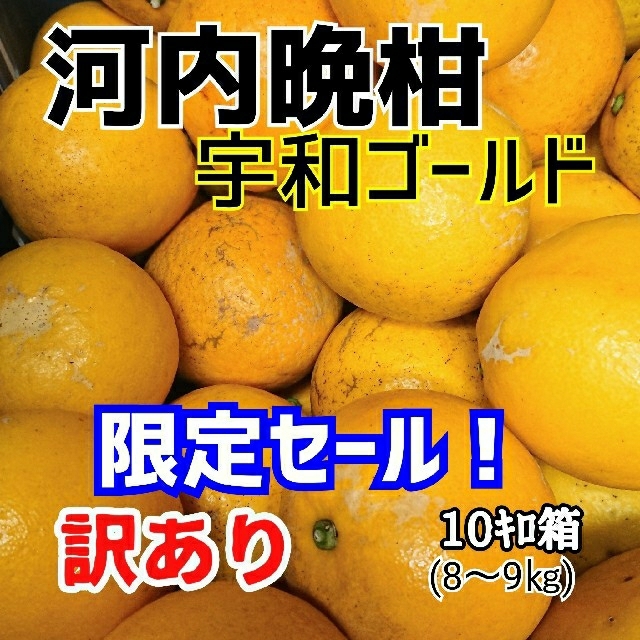 【限定セール】愛媛産☆河内晩柑(宇和ゴールド)☆訳ありmix 10ｷﾛ箱 食品/飲料/酒の食品(フルーツ)の商品写真