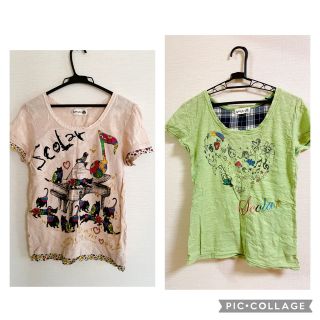 スカラー(ScoLar)の引越のため5/24終了☆Tシャツ2枚セット　スカラー(Tシャツ(半袖/袖なし))