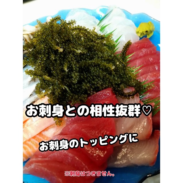 沖縄県産 海ぶどう 茎付き1000ｇ“ 商品の説明⚠️必読⚠️ 食品/飲料/酒の食品(魚介)の商品写真