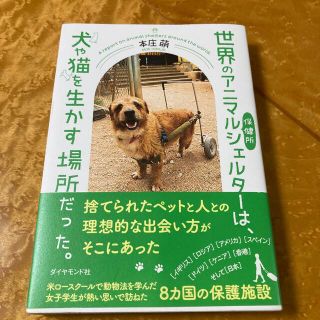 世界のアニマルシェルターは、犬や猫を生かす場所だった。(文学/小説)