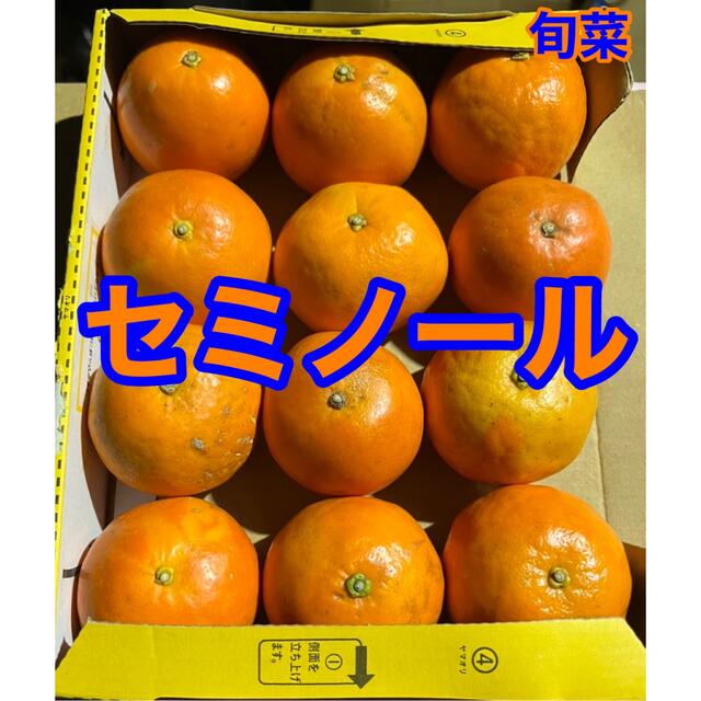 セミノール   B品   1kg以上 食品/飲料/酒の食品(フルーツ)の商品写真