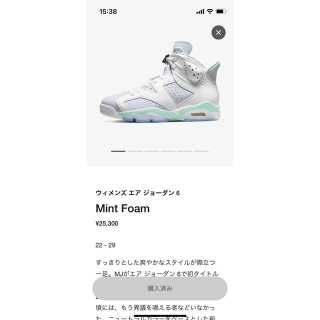 Nike WMNS Air Jordan 6 "Mint Foam" 28cm