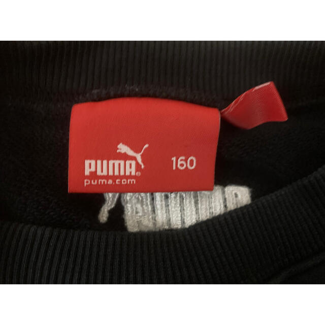 PUMA(プーマ)のPUMA　トレーナー キッズ/ベビー/マタニティのキッズ服男の子用(90cm~)(その他)の商品写真