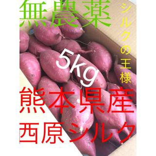無農薬 シルクスイートサツマイモ 貯蔵熟成 西原シルク 5キロ送料無料M〜2L(野菜)
