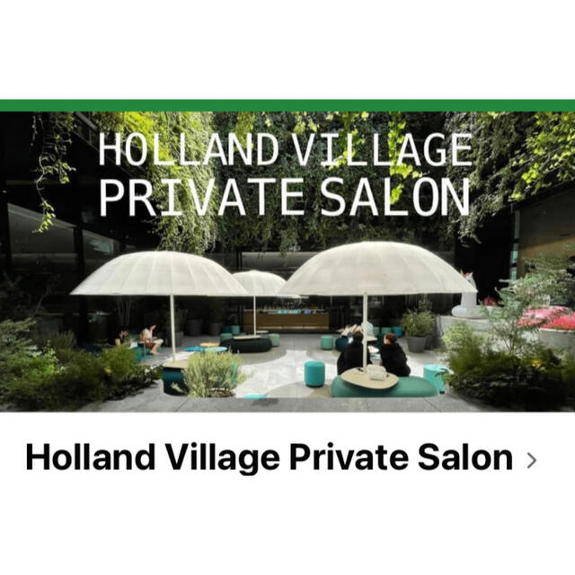 Holland Village Online Salon チケットのチケット その他(その他)の商品写真