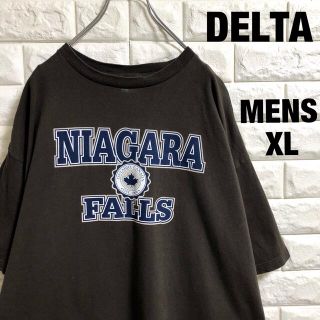 デルタ(DELTA)の輸入古着　デルタ　半袖Tシャツ　ナイアガラの滝　ブラウン　メンズXLサイズ(Tシャツ/カットソー(半袖/袖なし))