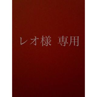 レオ様専用(ヘッドフォン/イヤフォン)