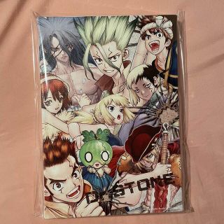 【新品・限定品】Dr.STONE デザインアートボード(キャラクターグッズ)