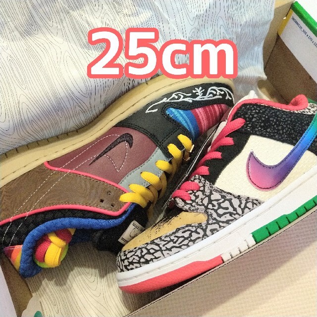 25cm ナイキSB ダンク ロー ワット・ザ・ポール・ロドリゲス | www