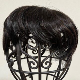 アデランス フォンテーヌ 部分ウィッグ 人毛ミックス dellastrada.ph 17