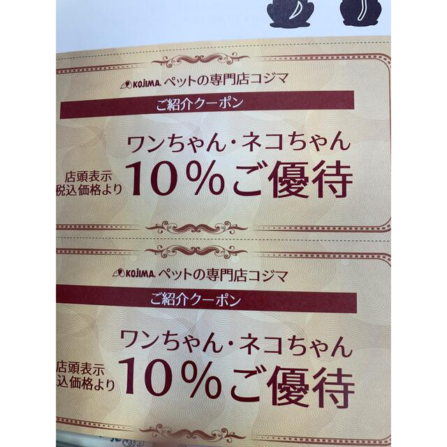 ペットのコジマ　ワンちゃんネコちゃん10%優待券 チケットの施設利用券(その他)の商品写真