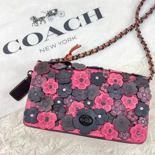 コーチ(COACH)の希少／美品♡コーチ ショルダーバッグ ティーローズ アップリケ ディンキー 花柄(ショルダーバッグ)