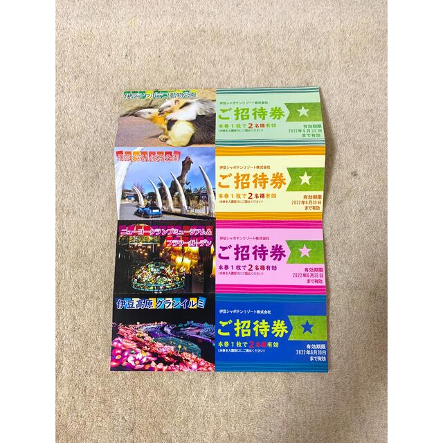 ご招待券 伊豆シャボテンリゾート株式会社 チケットの施設利用券(動物園)の商品写真