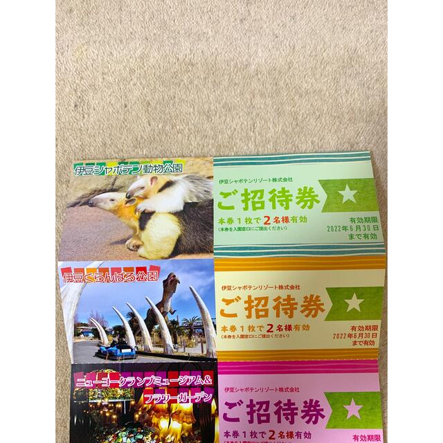 ご招待券 伊豆シャボテンリゾート株式会社 チケットの施設利用券(動物園)の商品写真