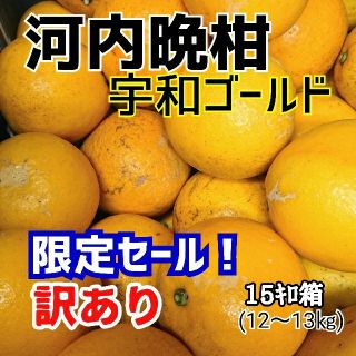 【GW限定セール】愛媛産☆河内晩柑(宇和ゴールド)☆訳ありmix 15ｷﾛ箱(フルーツ)