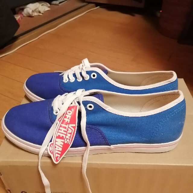 VANS(ヴァンズ)のレアヴァンズ レディースの靴/シューズ(スニーカー)の商品写真