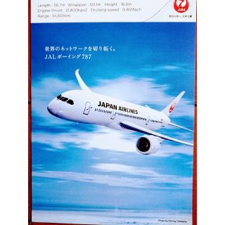 ジャル(ニホンコウクウ)(JAL(日本航空))の✈️JAL ボーイング787-8 オリジナルハガキ(航空機)