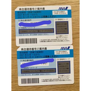 エーエヌエー(ゼンニッポンクウユ)(ANA(全日本空輸))のANA 株主優待　22年５月31日まで(その他)