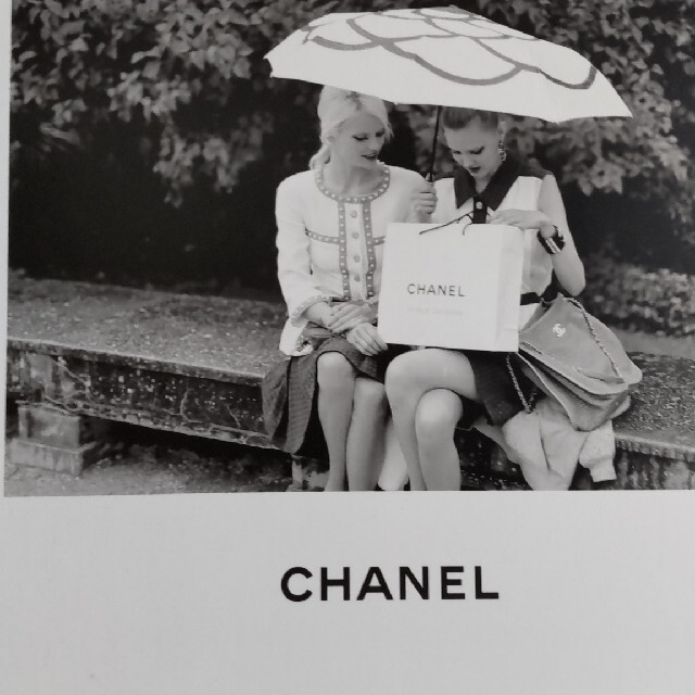 CHANEL(シャネル)の非売品✨シャネル カタログ DVD付 CHANEL カールラガーフェルド 作成 エンタメ/ホビーの美術品/アンティーク(写真)の商品写真