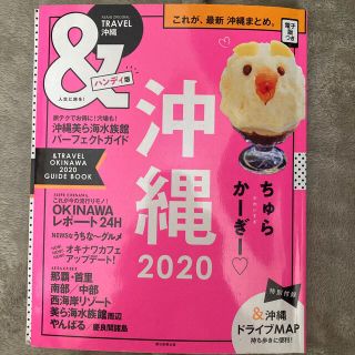 ＆ＴＲＡＶＥＬ沖縄ハンディ版 これが、最新沖縄まとめ。 ２０２０(地図/旅行ガイド)