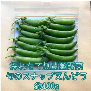 GWスペシャル✨採れたて無農薬野菜＊旬のスナップえんどう＊約100g＊ネコポス＊(野菜)