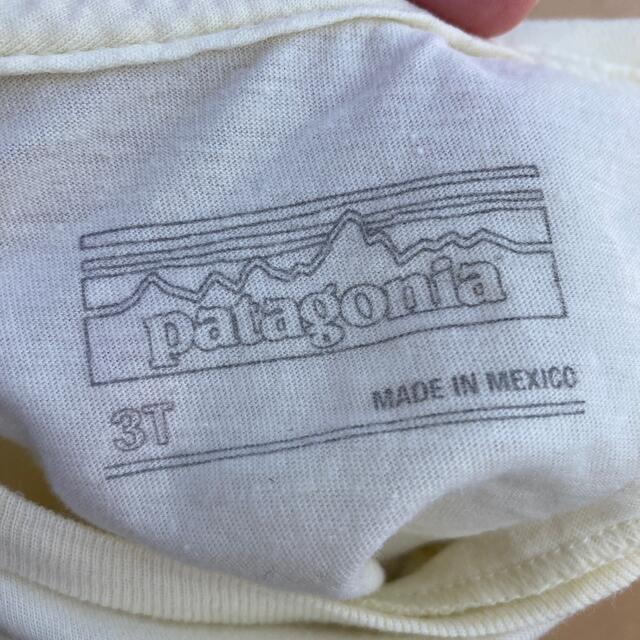 patagonia(パタゴニア)のキッズ　Ｔシャツ キッズ/ベビー/マタニティのキッズ服男の子用(90cm~)(Tシャツ/カットソー)の商品写真