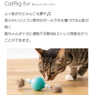 オッポ(OPPO)の【ファー単品】Cat Rig Spare-Fur　キャットリグ スペアファー(猫)