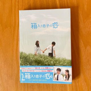 箱入り息子の恋　DVDファーストラブ・エディション DVD(日本映画)