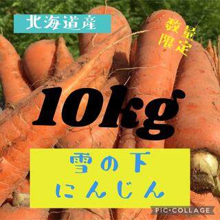 北海道産雪の下にんじん10kg(野菜)
