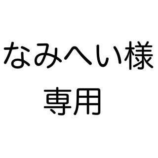 ポケモン(ポケモン)のなみへい様専用(その他)