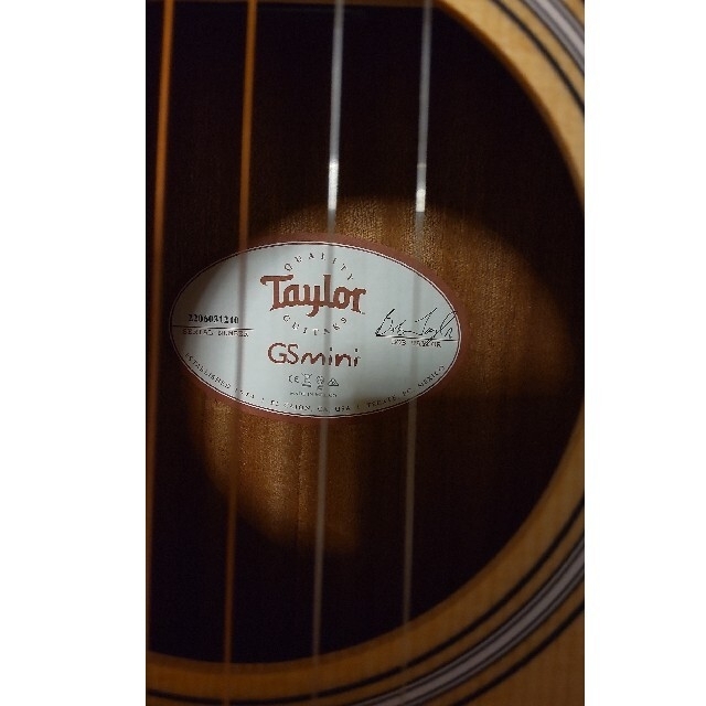 taylor gs mini rosewood (2021) 楽器のギター(アコースティックギター)の商品写真