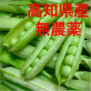 うすいえんどう 約１ｋｇ えんどう豆 碓井豌豆 エンドウマメ えんどうまめ(野菜)