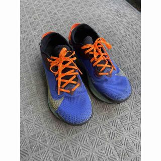 ナイキ(NIKE)のNIKE ナイキ ペガサストレイル2 GTX(スニーカー)