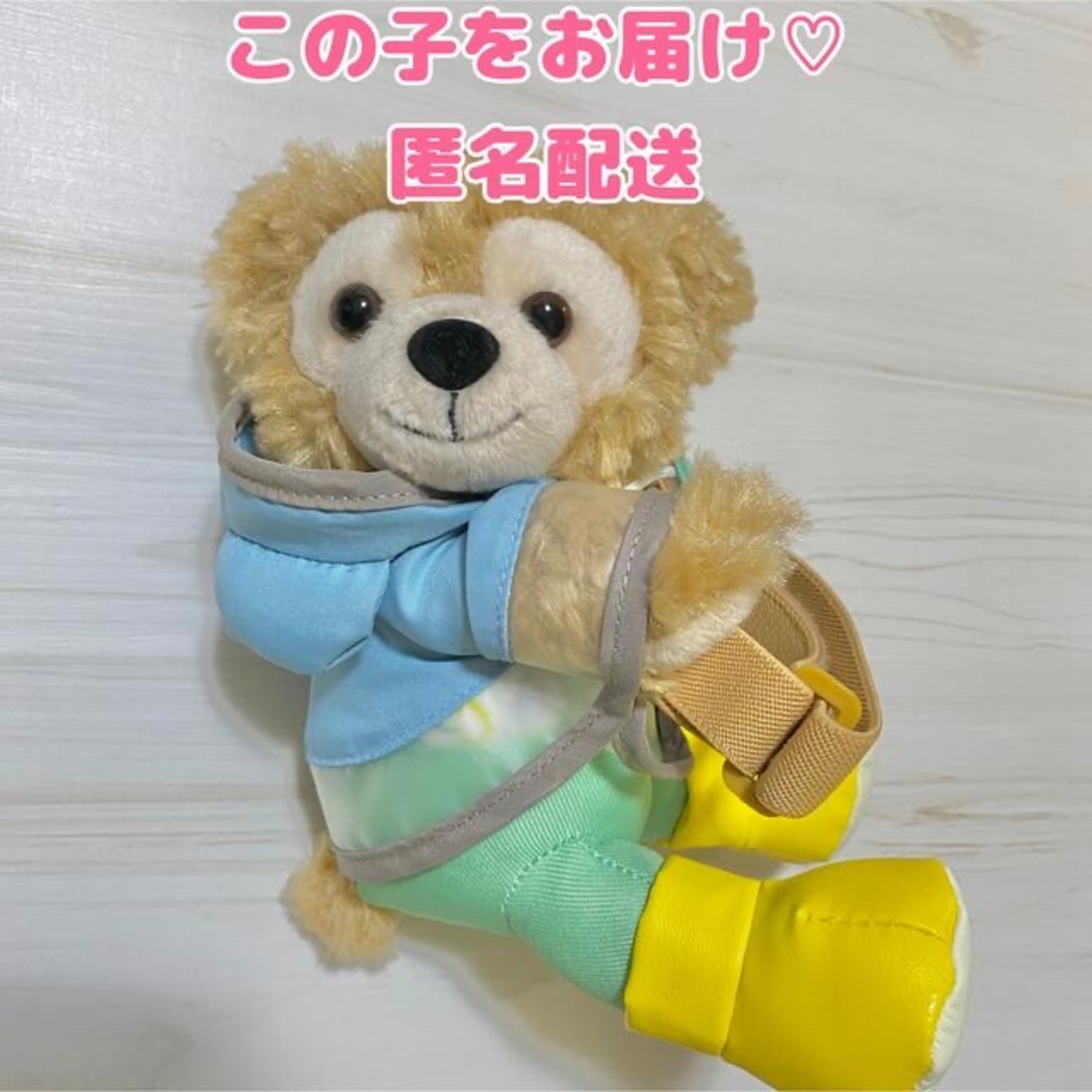 ダッフィー(ダッフィー)のお顔厳選! ビューティフル レイニーデイズ ダッフィー ぬいぐるみ 匿名配送 エンタメ/ホビーのおもちゃ/ぬいぐるみ(キャラクターグッズ)の商品写真