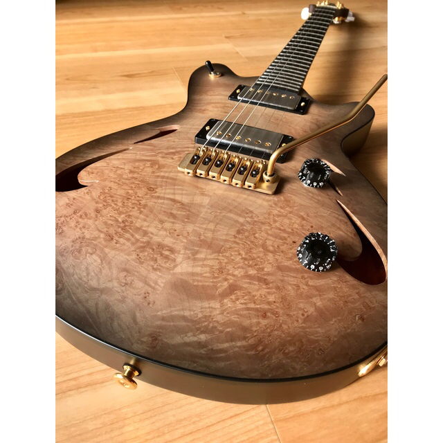 Gibson(ギブソン)のT's Guitars Arc-Hollow/VS100N,Burl Maple 楽器のギター(エレキギター)の商品写真