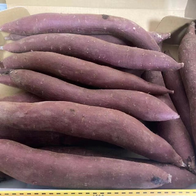 48. 超人気　茨城県産　紫芋　ふくむらさきいも　約5kg 食品/飲料/酒の食品(野菜)の商品写真