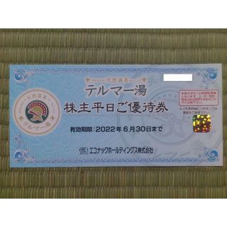 エコナック 株主優待　テルマー湯　平日招待券　1枚(その他)