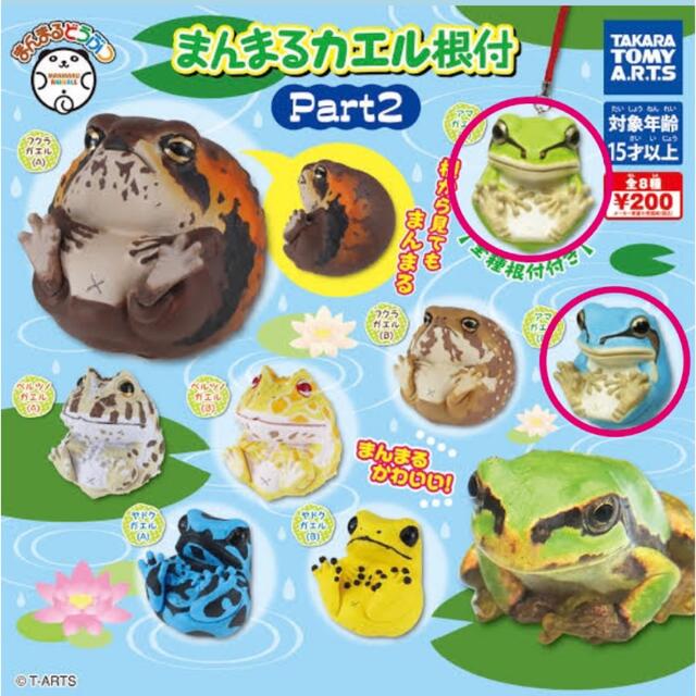 カエルさま 専用 3点セット - 通販 - univ-garoua.cm