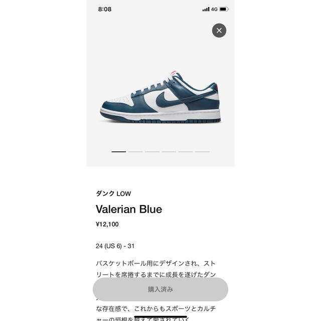 靴/シューズNike Dunk Low "Valerian Blue"