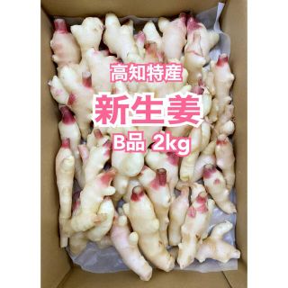 お買い得♪高知特産 新生姜  B品 約2kg 生姜 しょうが(野菜)