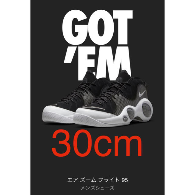 靴/シューズNike Air Zoom Flight 95 Black Metallic