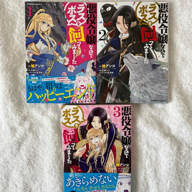 角川書店(カドカワショテン)のゆぴ様専用 悪役令嬢なのでラスボスを飼ってみました 1.2.3巻 エンタメ/ホビーの漫画(青年漫画)の商品写真