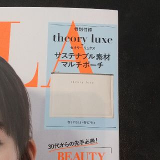 セオリーリュクス(Theory luxe)のBAILA ６月号付録(ポーチ)