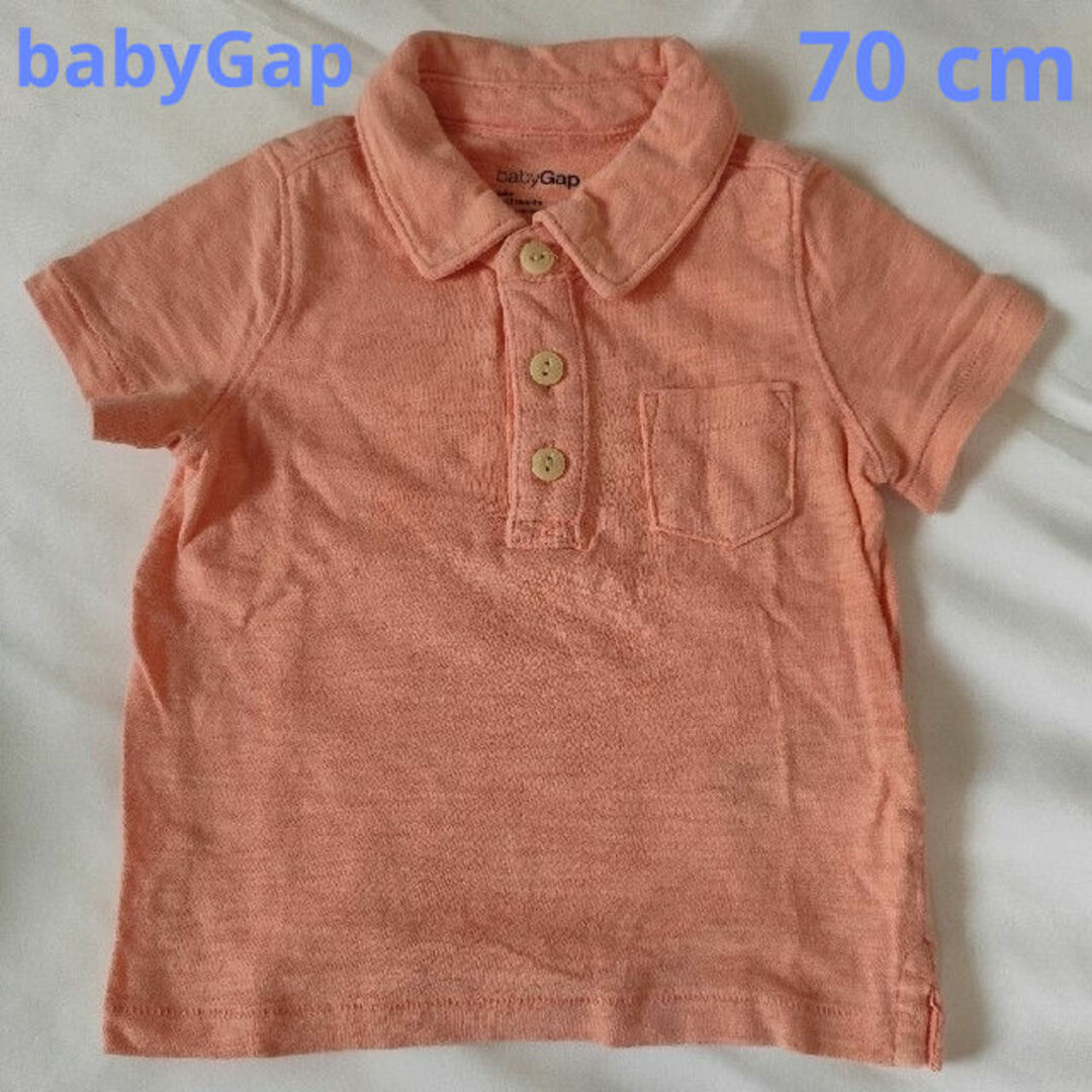 babyGAP(ベビーギャップ)のbabyGap ポロシャツ　コットン　半袖　70cm　6〜12months キッズ/ベビー/マタニティのベビー服(~85cm)(シャツ/カットソー)の商品写真