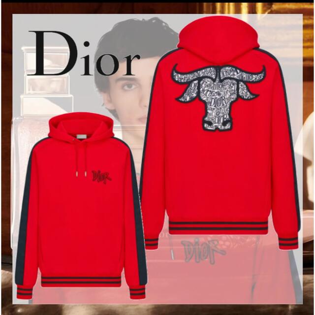 超希少！DIOR パーカー XL