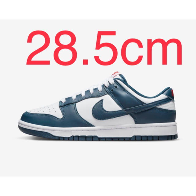 nike dunk low valerian blue 28.5 10.5