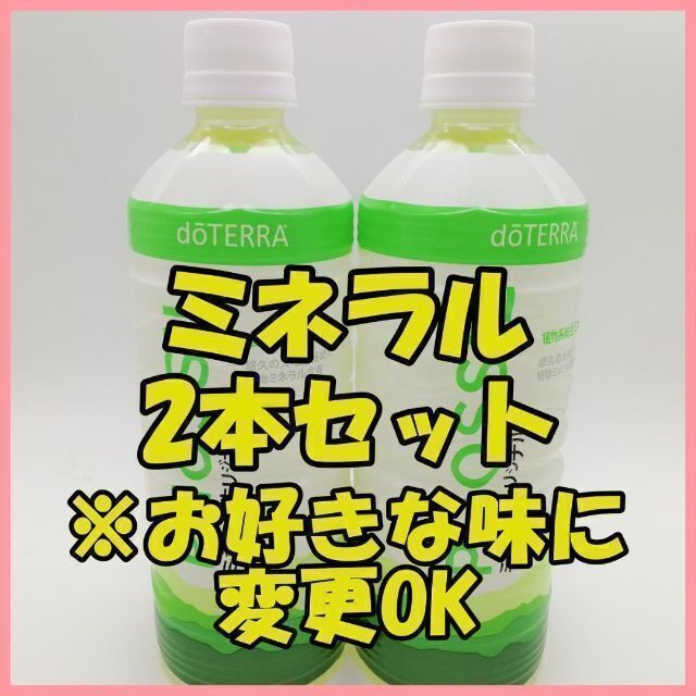 【Z253】りり様専用　★2本セット　ハニージンジャー　ピンクパイン 食品/飲料/酒の飲料(その他)の商品写真