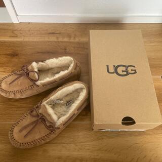 アグ(UGG)のレディース 靴 UGG(スリッポン/モカシン)