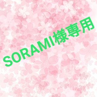 SORAMI様専用(その他)