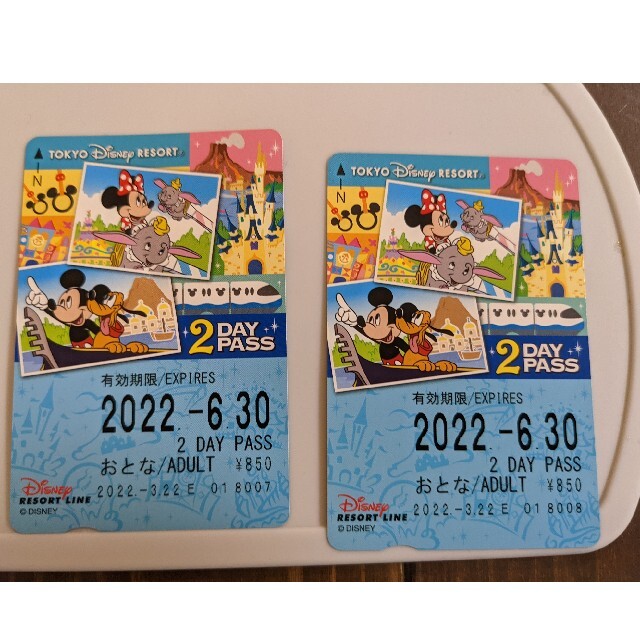 ディズニーリゾートライン2daypass 6枚